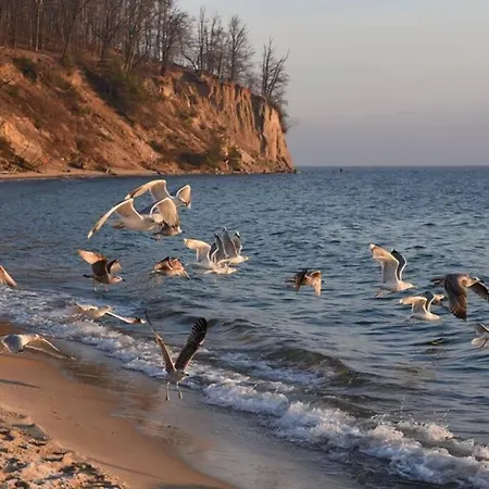 Rybacka W Orlowie / Lägenhet Gdynia