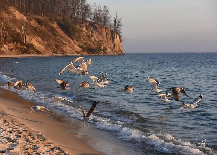 Rybacka W Orlowie / Апартаменты Гдыня